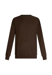 Bruine gebreide trui met een ronde hals, lange mouwen, en geribbelde manchetten en zoom. Gladde textuur zonder zichtbare patronen of hardware.