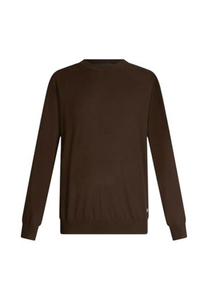 Maglione marrone lavorato a maglia con scollo rotondo, maniche lunghe e polsini e orlo a coste. Texture liscia senza motivi o dettagli visibili.