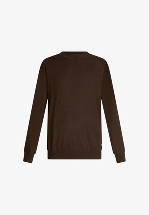 Maglione marrone lavorato a maglia con scollo rotondo, maniche lunghe e polsini e orlo a coste. Texture liscia senza motivi o dettagli visibili.