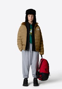 The North Face REVERSIBLE PERRITO - Giacca invernale - khaki stone