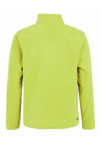 Giacca in pile di un brillante verde lime, con colletto alto e maniche lunghe. Tessuto morbido con un design semplice e un piccolo logo sull'orlo.