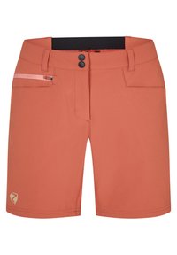 NEJA - Pantaloni scurți outdoor - chestnut