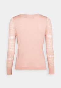 Light pink sweater with long, patterned lace sleeves. Smooth texture, round neck, and fitted design. Back view showing overall shape.