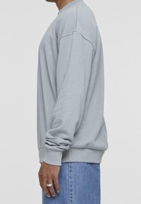 Felpa grigia chiara a maniche lunghe con girocollo, con polsini e orlo a costine, vista di lato, abbinata a jeans in denim blu chiaro. Design semplice, senza motivi.