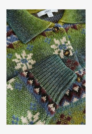 Cardigan en tricot vert avec un design à motifs. Doté d'un col, d'une fermeture à boutons, de poignets côtelés et de textures en bleu, crème et bordeaux.