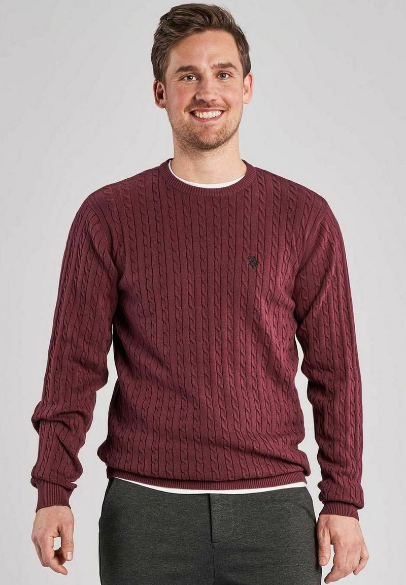 U.S. Polo Assn. ARCHI - Džemperis - port royale