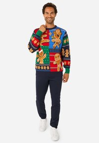 Heegeldatud kampsun, millel on mitmevärvilised piparkoogikuju ja pühadesümbolite plaastrid, ümara kaelusega ja soonikkoes mansettidega; kantud tumeliste pükstega.