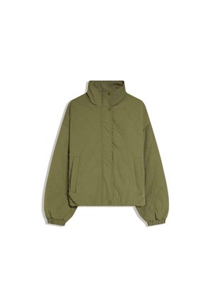 Olivgrüne gesteppte Jacke mit hohem Kragen, vorderen Druckknöpfen, elastischen Bündchen und zwei seitlichen Taschen, dargestellt auf weißem Hintergrund.