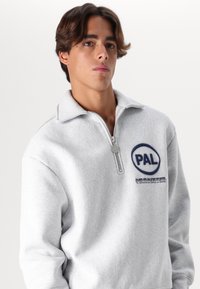 Pal Sporting Goods COMPANY UNISEX - Sweatshirt - light gray