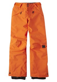 O'Neill ANVIL - Friluftsbyxor - puffin's bill