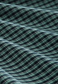 Tessuto a quadri con un motivo a griglia in verde scuro e blu navy, caratterizzato da linee alternate e texture, con un aspetto morbido e tessuto.