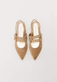 Scarpe slingback in suede color tan con punte appuntite, decorate con hardware color oro e una doppia cinghia con ritagli circolari.