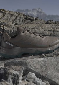 Brązowy but turystyczny Adidas Terrex na skalistym terenie z rozmytym górskim tłem pod czystym niebem.