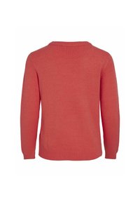 Koral genser med rund hals, lange ermer og ribbestrikket nederkant. Materialet ser mykt ut og har en jevn tekstur, med en ensfarget design.