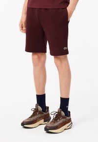 Bordeaux shorts met een groen logo, gemaakt van katoen. Gecombineerd met bruine en beige sneakers en donkerblauwe sokken.