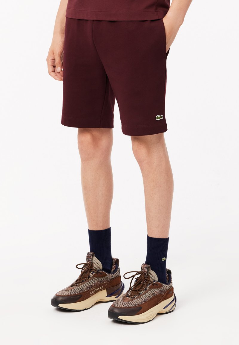 Bordeaux shorts met een groen logo, gemaakt van katoen. Gecombineerd met bruine en beige sneakers en donkerblauwe sokken.