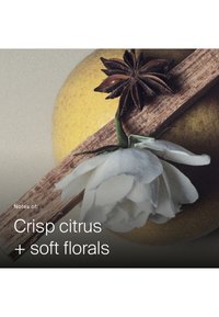 Living proof LIP PHD ADVANCED DRY SHAMPOO - Droogshampoo