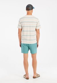 Protest Shorts - arcticgreen