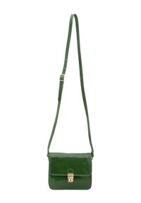 Borsa a tracolla verde in pelle con finitura liscia, chiusura dorata e tracolla regolabile. Forma rettangolare compatta.