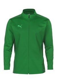 Puma - TEAMCUP  - Veste de survêtement - amazon green / dark green / green gecko Image miniature 1