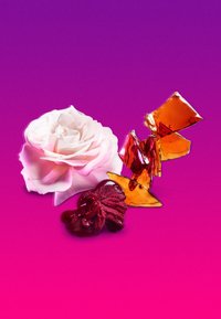 Escada Fragrances MAGNETISM EAU DE PARFUM - Eau de Parfum