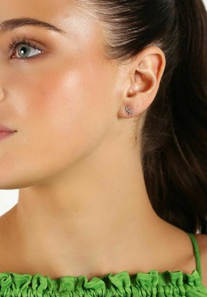 SNÖ of Sweden MINNA SMALL BRANCH - Earrings - s clear