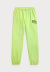BIG PONY SWEATPANT - Træningsbukser - electric lime