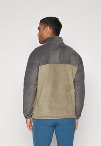 Columbia STEENS MOUNTAIN™ HALF ZIP - Felpa in pile - shark/stone green