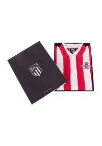 Rood-wit gestreepte polo shirt met een kraag, voorzien van een geborduurd logo en gepresenteerd in een zwarte geschenkdoos met een logo bovenop.