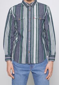 Camisa de rayas verde y marino de botones, hecha de denim, con dos bolsillos en el pecho, botones de latón y mangas largas con detalles en los puños.