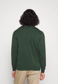 Grüner Pullover aus einem weichen Strickmaterial, mit Rundhalsausschnitt und gerippten Bündchen und Saum. Schlichtes Design, ohne sichtbare Muster oder Akzente.