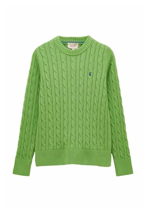 Green cable-knit long sleeve jumper with ribbed cuffs and hem, crew neckline, and small navy embroidered logo on the chest.