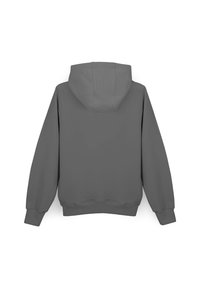 Szara bluza z kapturem, z długimi rękawami, ściągaczami przy nadgarstkach i u dołu; gładka tekstura i minimalistyczny design; wyświetlony widok z tyłu.