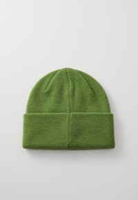 Green knit beanie with a fold-over cuff and a textured finish, featuring a rounded top and no visible logos or patterns.