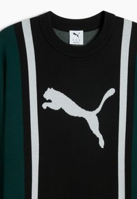 Schwarzer Strickpullover mit grünen und weißen Streifen. Ziert ein großes, weißes, springendes Puma-Logo auf der Vorderseite. Rundhalsausschnitt, strukturiertes Material.