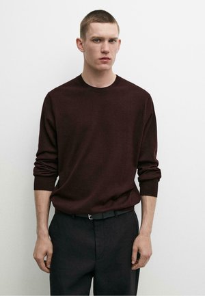Giovane uomo con capelli corti che indossa un maglione marrone scuro e pantaloni neri, in piedi davanti a uno sfondo bianco semplice.