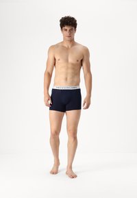 Polo Ralph Lauren TRUNK 3 PACK - Ozke boksarice - white/pink/navy