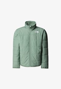 Non sélectionné, slate moss