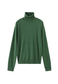 Neselectat, dark green