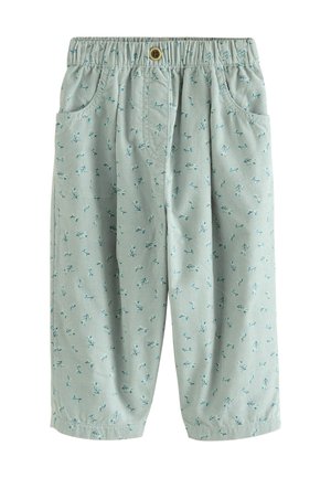 Next REGULAR FIT - Stoffhose - blue floral print