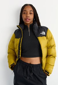 The North Face RETRO NUPTSE JACKET - Jakna ispunjena paperjem - amber green/black