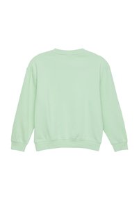 Miętowy sweter, z miękkiej bawełnianej mieszanki, okrągły dekolt, długość rękawów, ściągacze w mankietach i u dołu, prosty design, bez widocznych logo ani wzorów.