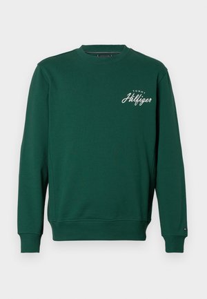 Zaļš sporta krekls ar garām piedurknēm, ribota aproce un apakša. Uz kreisās krūtis ir balts izšūts/logo. Izgatavots no mīkstas auduma.