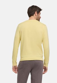 Maglione giallo lavorato a maglia con maniche lunghe e scollo rotondo. Tessuto morbido, orlo e polsini a coste. Indossato con pantaloni grigi, visto da dietro.