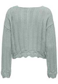 Maglione azzurro chiaro lavorato a maglia con design corto, dotato di orlo a scallop, motivo a punto aperto e maniche lunghe.