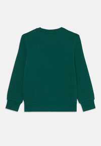 Felpa verde con maniche lunghe, scollo a girocollo e polsini a costina. Texture liscia senza motivi o elementi hardware visibili. Vista posteriore.