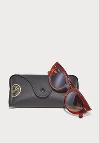 Gafas de sol con un marco de carey rojo veteado y lentes oscuros, colocadas junto a un estuche de cuero negro con un logo dorado.