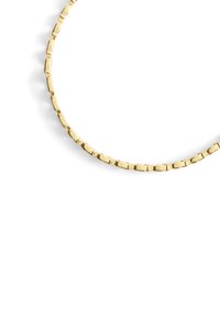 Guldkæde med rektangulære led, delvist vist på en hvid baggrund.