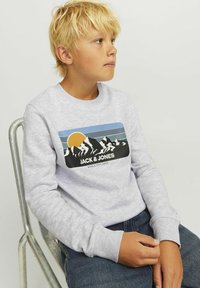 Sudadera gris clara con puños y cuello de canalé, que presenta un gráfico impreso de montaña y sol en azul, negro y naranja.