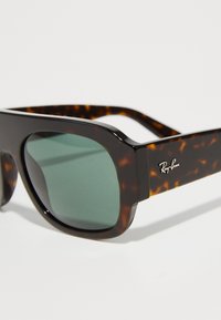 Žalsvos lęšiai su vėžlio kiauto dizaino saulės akinių rėmeliu. Rėmas storas, stačiakampio formos, šone su Ray-Ban logotipu, atliekamu metaliniu paviršiumi.